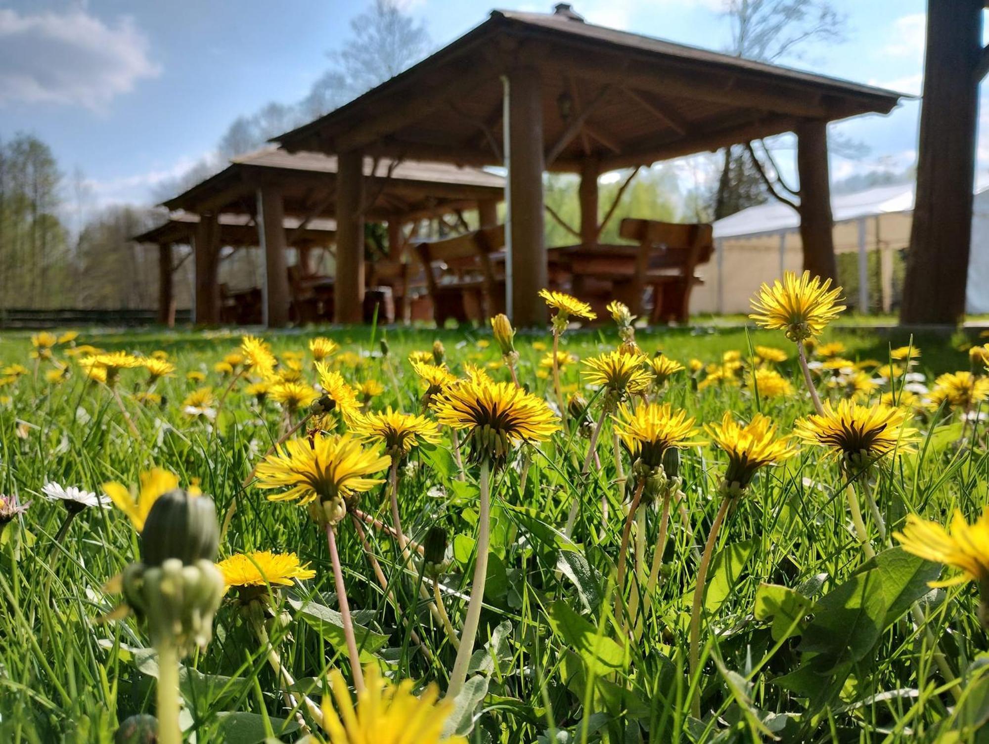 Mazowieckie Siolo Julianowka Bagian luar foto